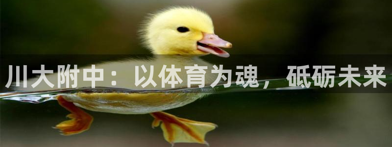 注册vsport体育官方正版app：川大附中：以体育为魂，砥