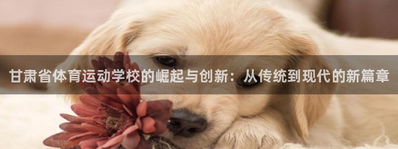 vsport体育官网下载开户：甘肃省体育运动学校的崛