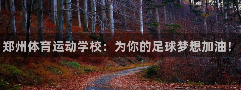 vsport体育官方正版app开户：郑州体育运动学校