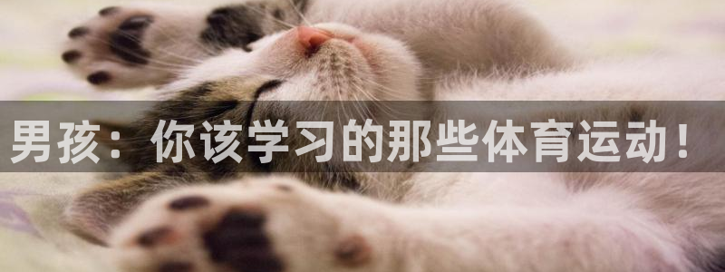 vsport体育官方平台体育：男孩：你该学习的那些体育运动！
