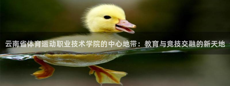 vsport体育官网下载招商电话地址是多少：云南省体育运动职