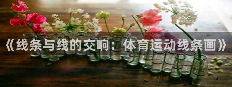 vsport体育官网下载招商电话：《线条与线的交响：体育运动