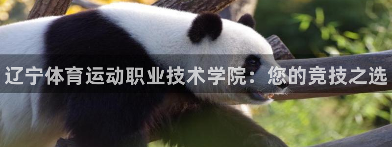 vsport体育官方正版app娱乐网站：辽宁体育运动