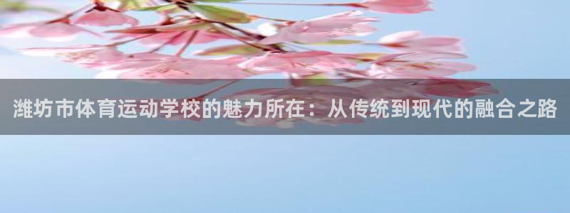 vsport体育官方正版app代理：潍坊市体育运动学