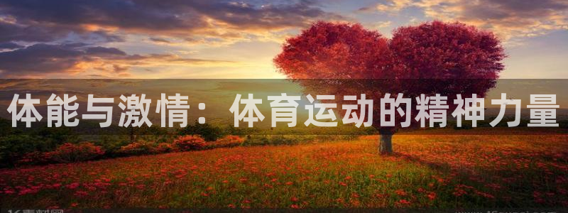 vsport体育官方正版app娱乐首页官网下载：体能