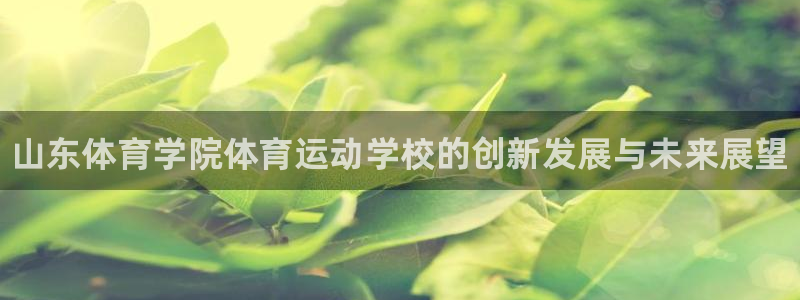 海南vsport体育官网下载发展怎么样：山东体育学院