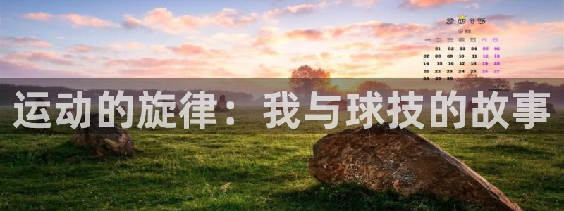 vsport体育官方集团官网：运动的旋律：我与球技的