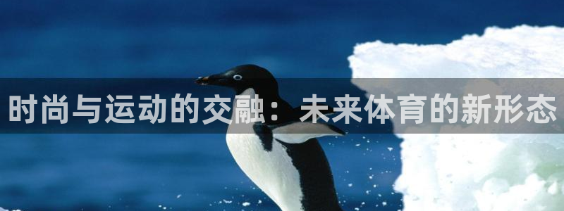 vsport体育官方正版app娱乐：时尚与运动的交融