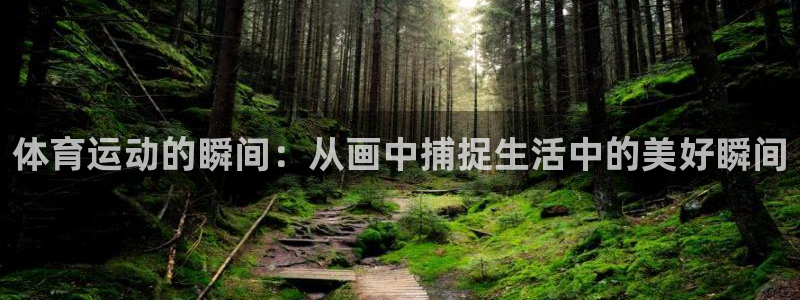 vsport体育官方正版app集团：体育运动的瞬间：