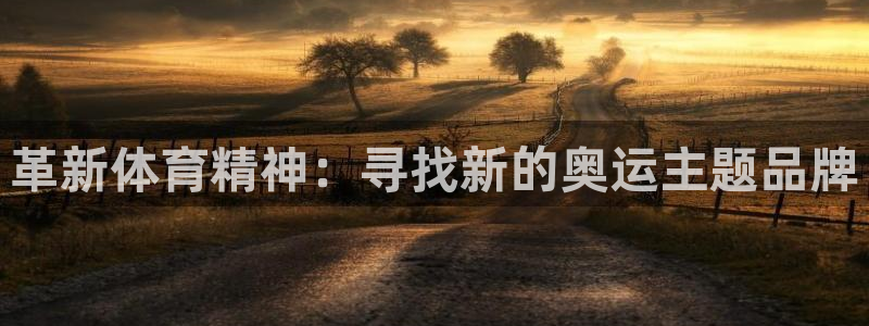 vsport体育官方正版app集团logo：革新体育