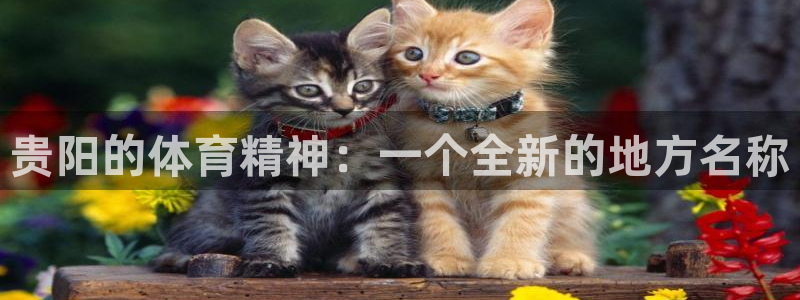 vsport体育官方正版app集团官网网址：贵阳的体