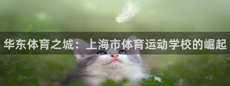 vsport体育官方正版app集团官网网址：华东体育之城：上