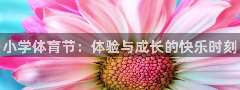 vsport体育官网下载平台注册要钱吗安全吗：小学体