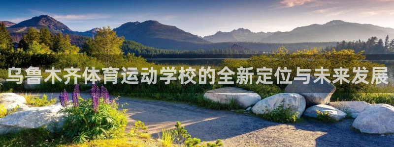 vsport体育官网下载平台注册流程图：乌鲁木齐体育