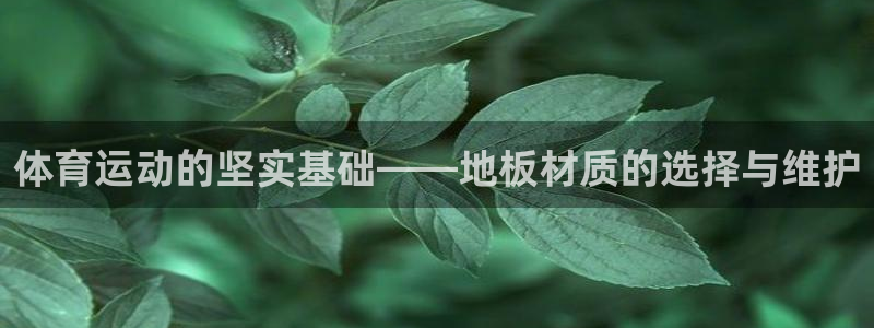 vsport体育官方正版app五金厂：体育运动的坚实