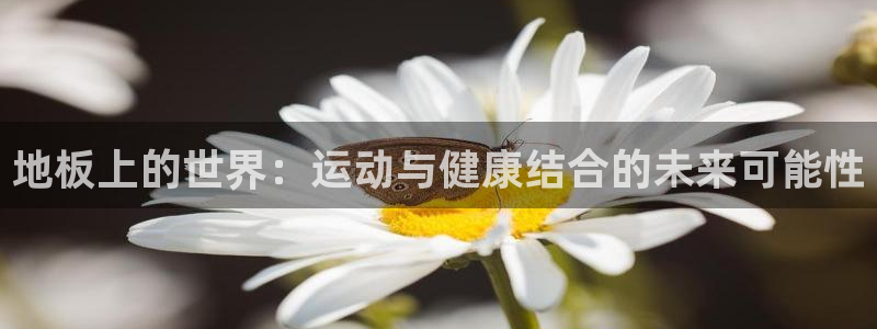 vsport体育官网下载招商电话：地板上的世界：运动与健康结