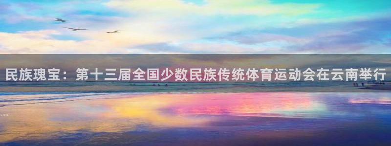vsport体育官网下载开户：民族瑰宝：第十三届全国