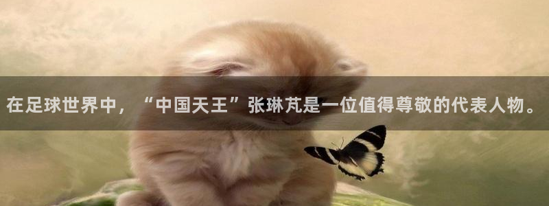 vsport体育官网下载招商电话：在足球世界中，“中