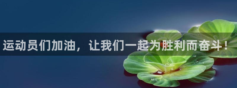 vsport体育官方正版app集团简介