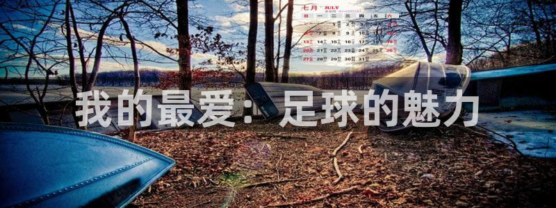 vsport体育官网下载注册：我的最爱：足球的魅力