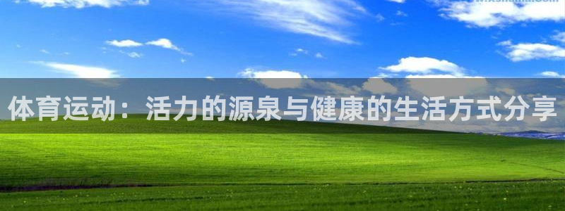 vsport体育官方正版app开户：体育运动：活力的