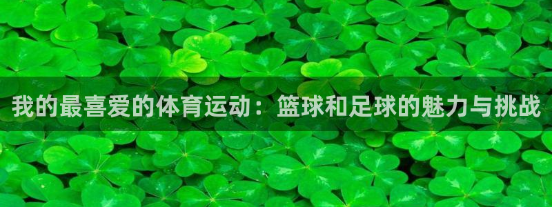 vsport体育官网下载平台注册：我的最喜爱的体育运动：篮球