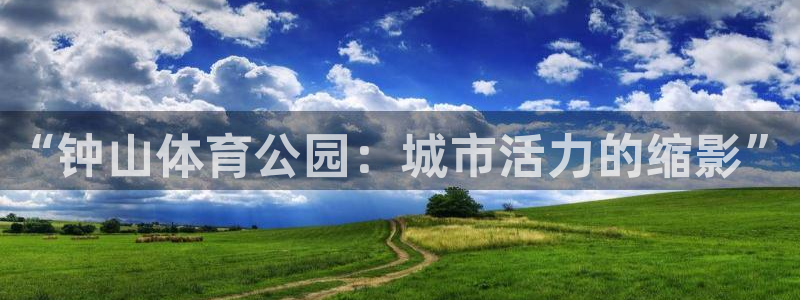 vsport体育官方正版app集团