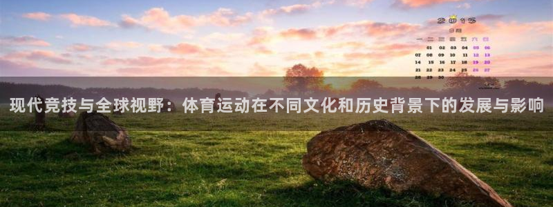 vsport体育官网下载平台注册流程视频：现代竞技与全球视野