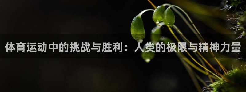 vsport体育官方正版app官网：体育运动中的挑战与胜利：