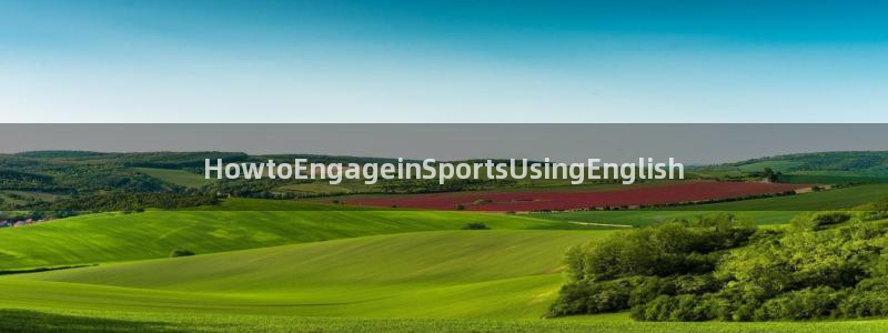 vsport体育官网下载平台假的吗是真的吗吗