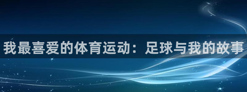 vsport体育官方正版app官网：我最喜爱的体育运