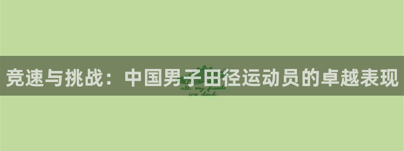vsport体育官方正版app娱乐是那个系列的台子：竞速与挑