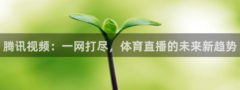 新球网直播：腾讯视频：一网打尽，体育直播的未来新趋势