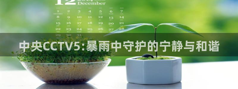 新球足球直播：中央CCTV5:暴雨中守护的宁静与和谐