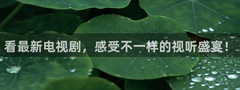 新球直播：看最新电视剧，感受不一样的视听盛宴！