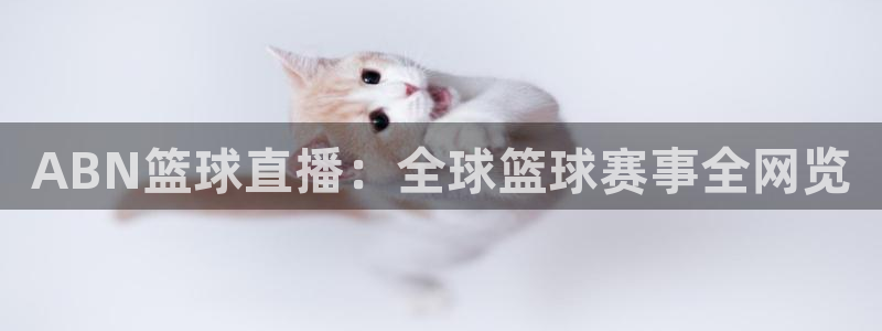新球体育比分网：ABN篮球直播：全球篮球赛事全网览