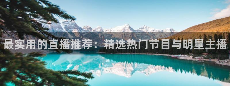 新球体育完整版：最实用的直播推荐：精选热门节目与明星主播
