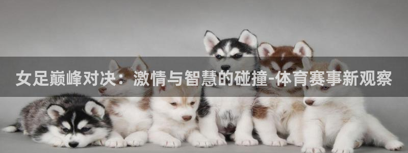 新球体育赛事：女足巅峰对决：激情与智慧的碰撞-体育赛事新观察