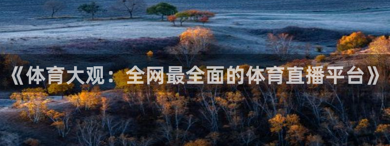 新球体育足球即时比分：《体育大观：全网最全面的体育直播平台》