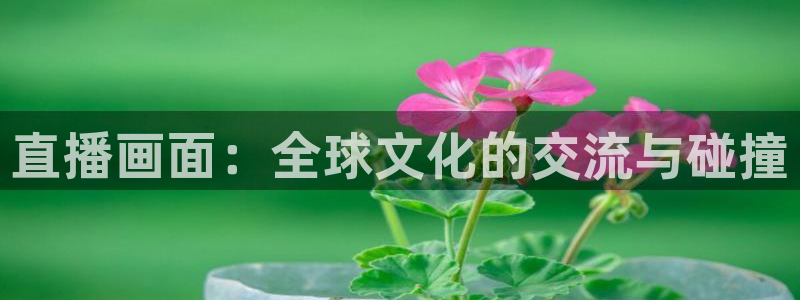 新球足球：直播画面：全球文化的交流与碰撞
