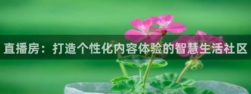 新球体育比分网：直播房：打造个性化内容体验的智慧生活社区