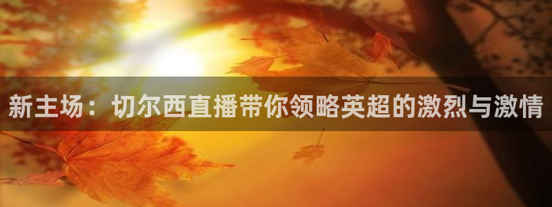 新球体育即时分：新主场：切尔西直播带你领略英超的激烈与激情